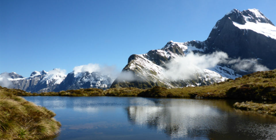 New Zealand mountain-web